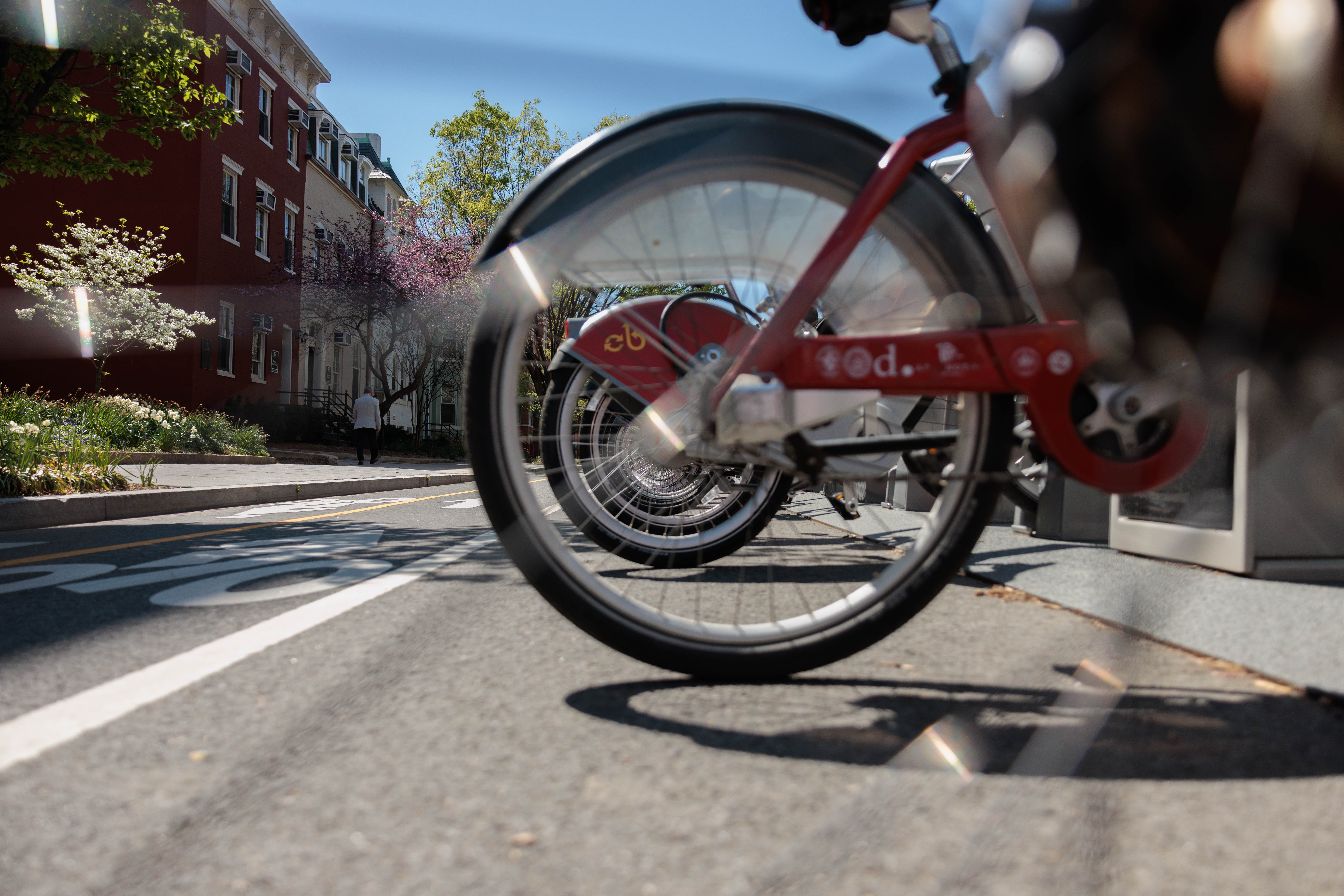 Photo of bikes on campus