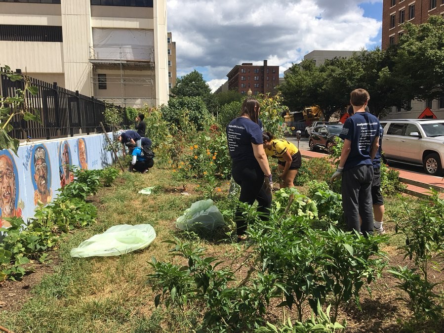 Grow Garden volunteers care for garden beds