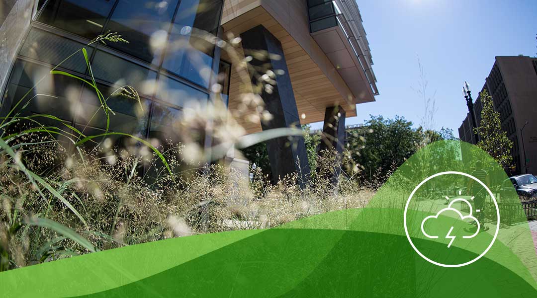 building exterior with plants