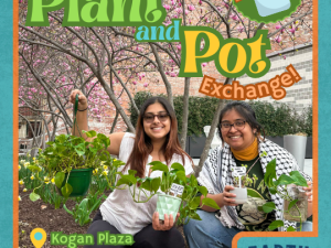 Plant and Pot Exchange 2025