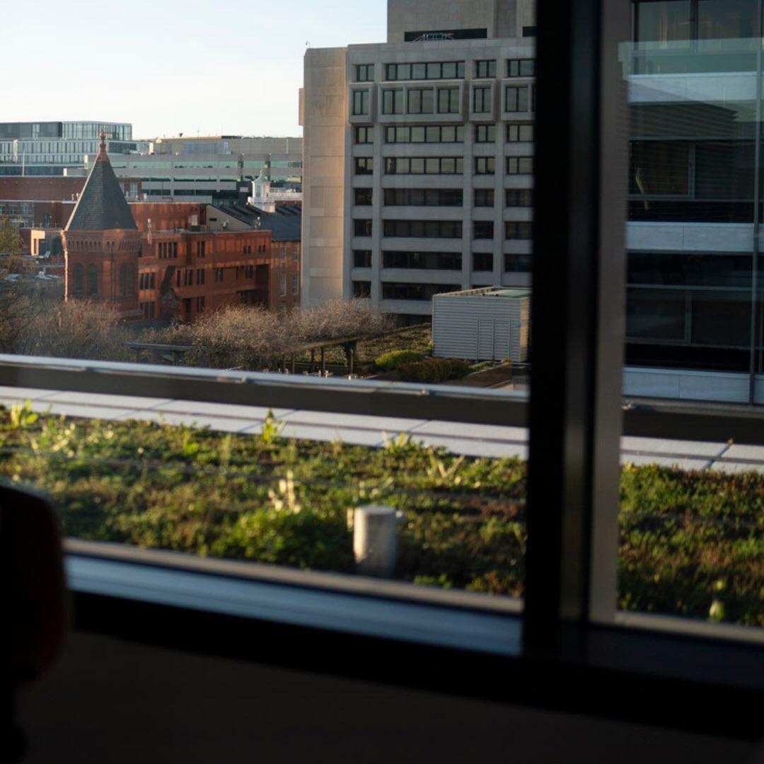 A terrace garden viewed outside of a window in Thurston Hall